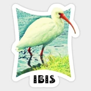 White  Ibis Sticker